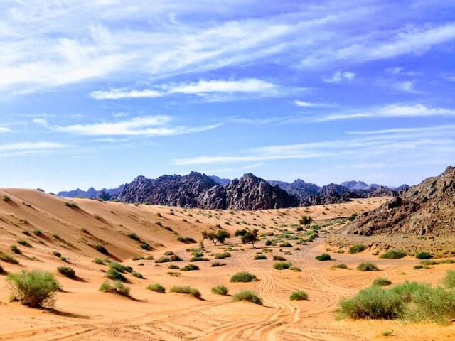 Arabian Desert