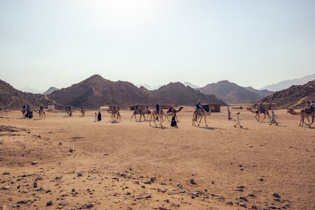 Bedouin in the desert