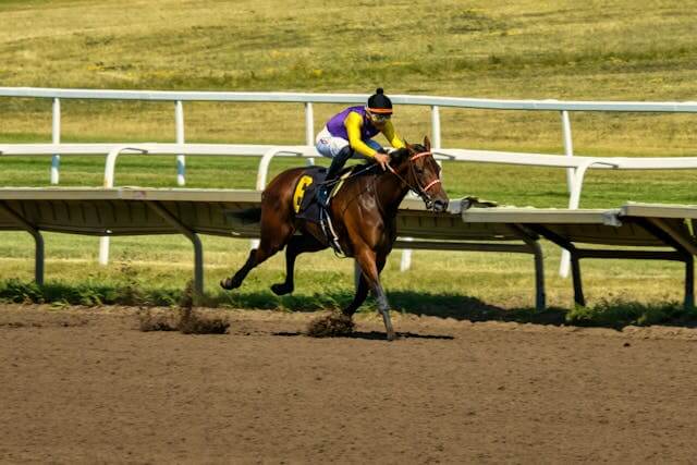 A thoroughbred with rider racing down the track