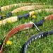 Five different strung bows next to each other on the grass