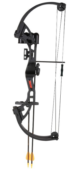 A compound bow with two arrows stored ready to be used