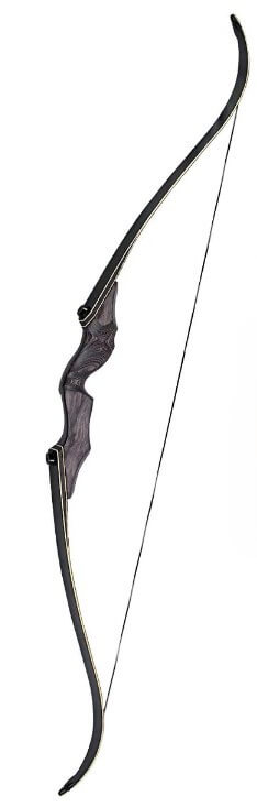 A modern recurve bow with detachable limbs