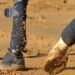 Horse moving on waxed sand with just the lower legs and feet showing