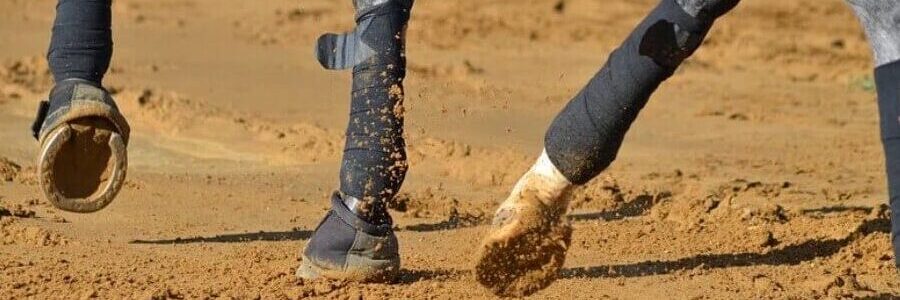 Horse moving on waxed sand with just the lower legs and feet showing