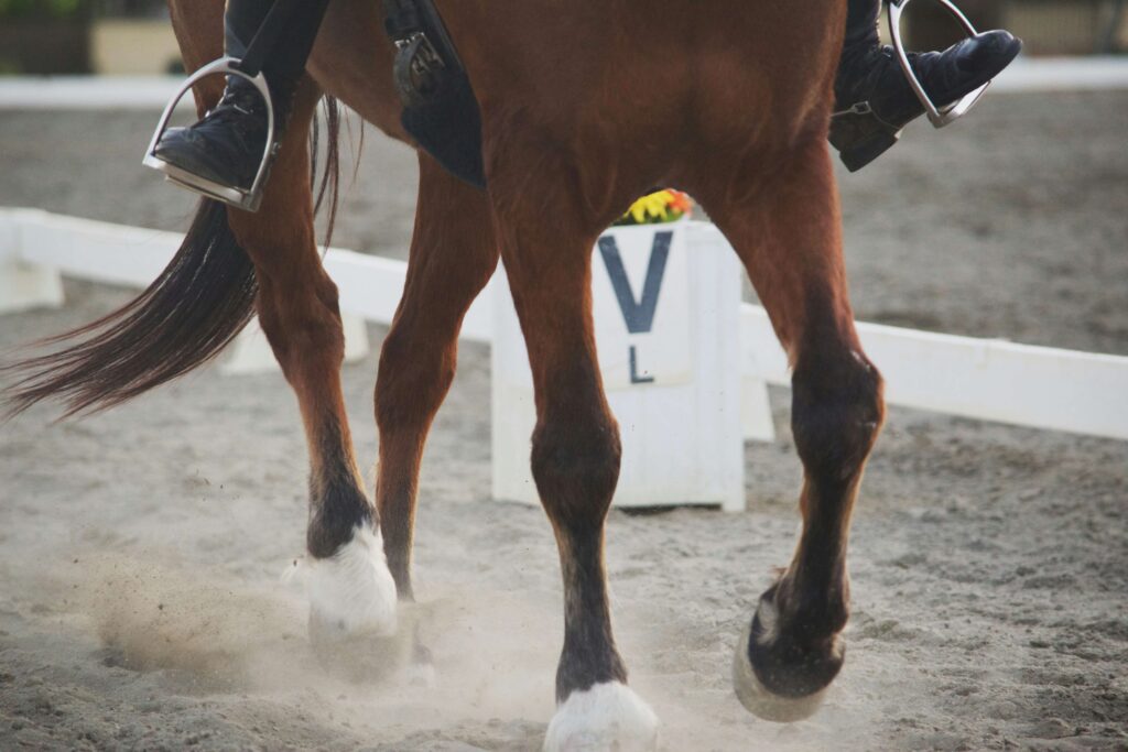 Horse in an outdoor arena riding past the V marking