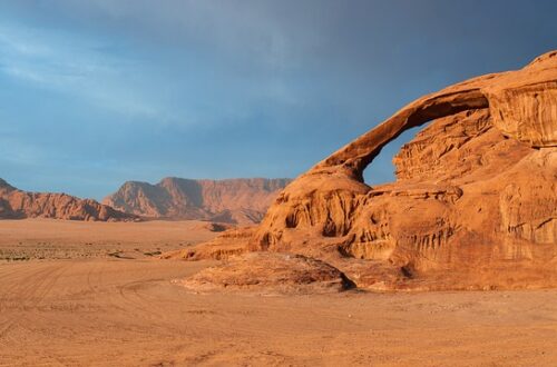 The Arabian Desert played a central role in shaping the distinctive features of the Arabian horse